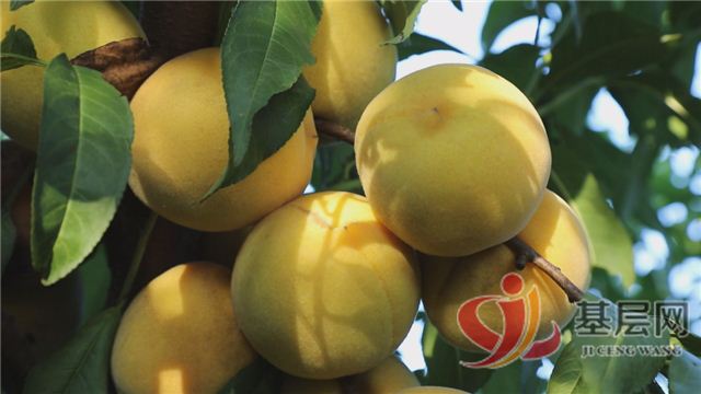 22184359993407617_94.jpg 22184359993407617_94.jpg