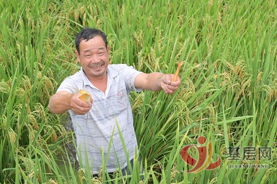 13204586021206882_92.jpg 13204586021206882_92.jpg