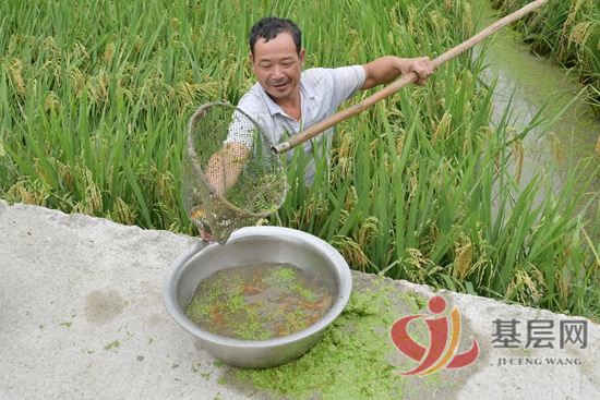 13214735556653841_92.jpg 13214735556653841_92.jpg