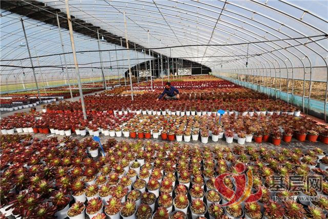 09291052089433834_94.jpg 09291052089433834_94.jpg