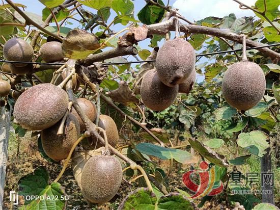 17282437752837069_92.jpg 17282437752837069_92.jpg