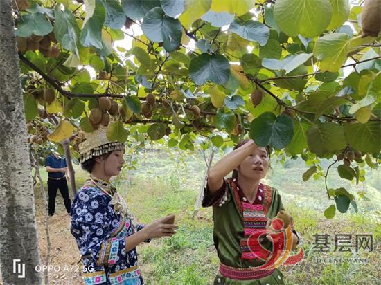 17292645002996046_92.jpg 17292645002996046_92.jpg