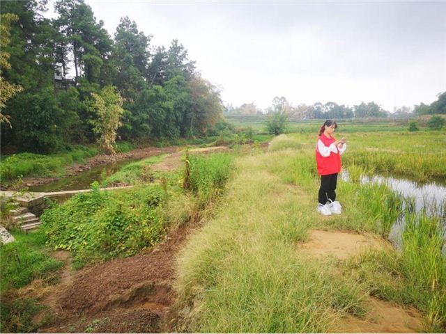 09400393819292568_106.jpg 09400393819292568_106.jpg