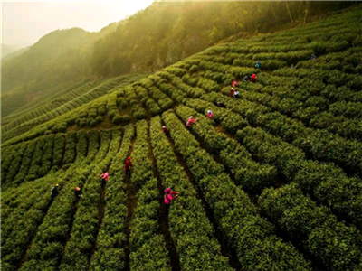 17143388848966898_83.png 17143388848966898_83.png