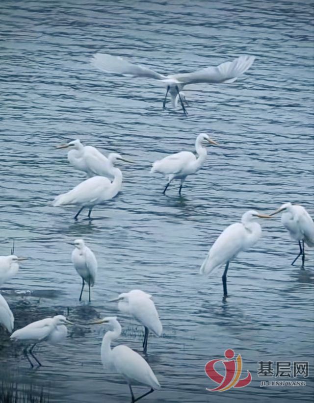 08223063948320491_75.jpg 08223063948320491_75.jpg