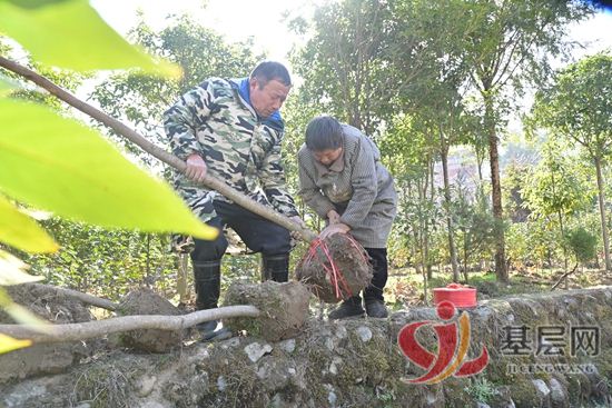 06133063665990096_92.jpg 06133063665990096_92.jpg