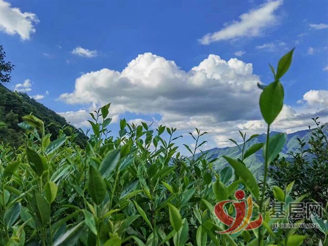 1331090997930783_75.jpg 1331090997930783_75.jpg