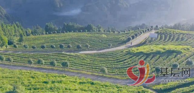 13312030054071340_75.jpg 13312030054071340_75.jpg