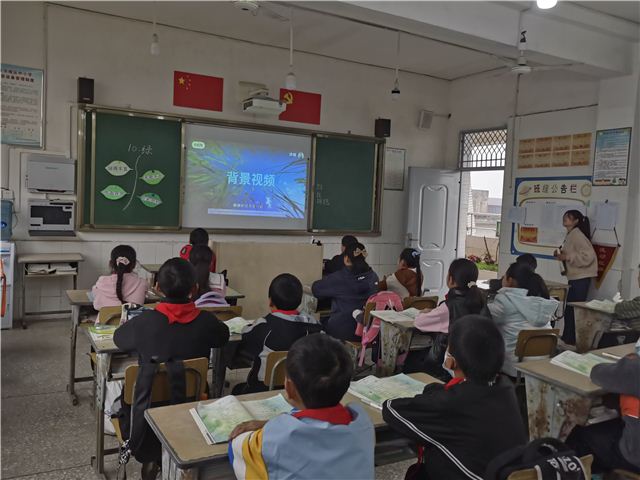 21432266969538232_110.jpg 21432266969538232_110.jpg