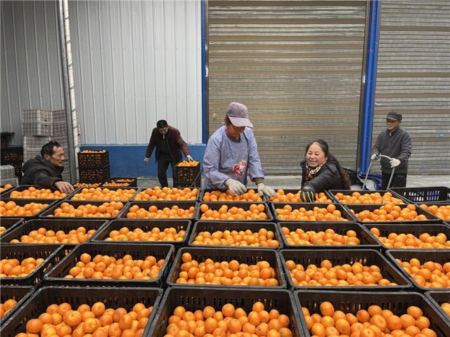 11533828855856780_128.jpg 11533828855856780_128.jpg