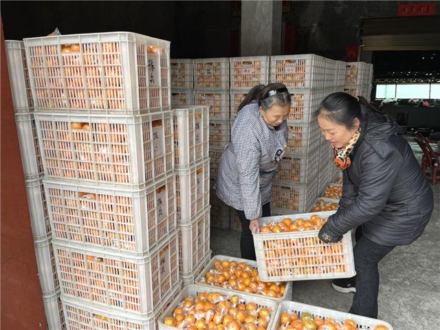 11553187237425649_128.jpg 11553187237425649_128.jpg