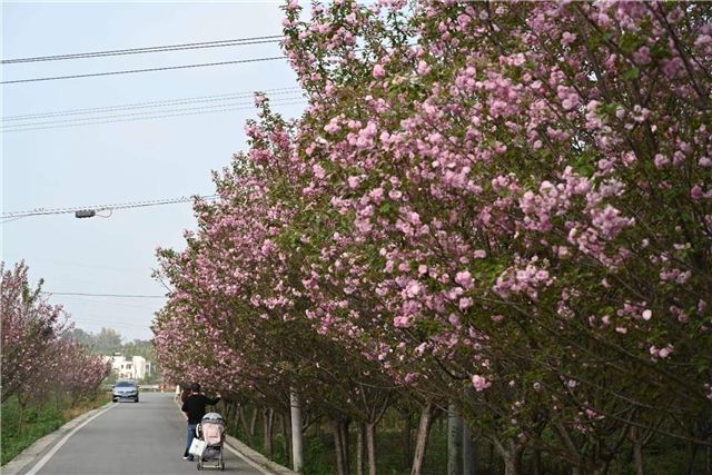 0949542462266728_106.jpg 0949542462266728_106.jpg