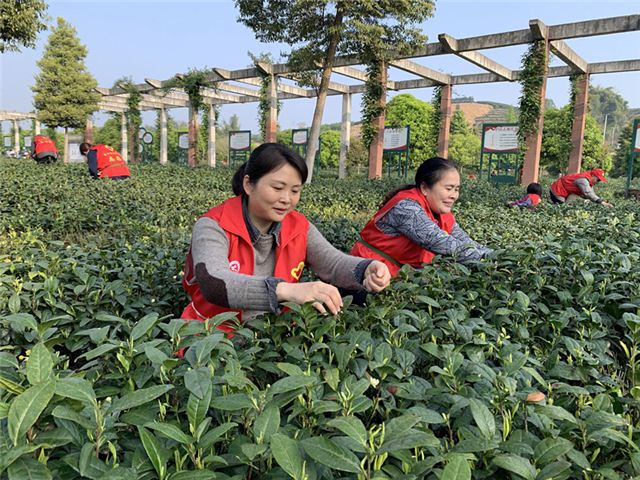 22175240103489674_110.jpg 22175240103489674_110.jpg