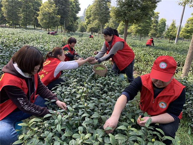 22181021628195697_110.jpg 22181021628195697_110.jpg