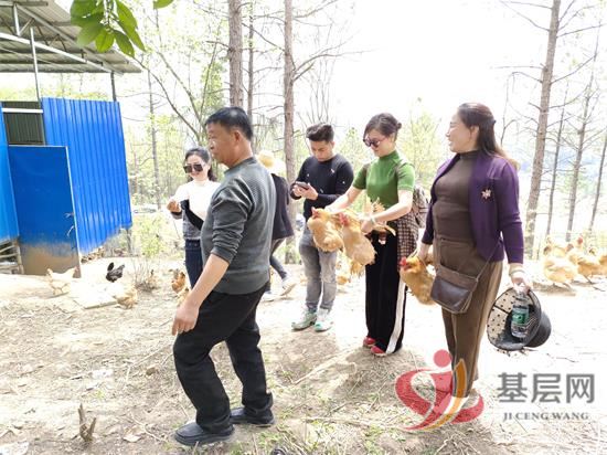 2257457145876417_92.jpg 2257457145876417_92.jpg