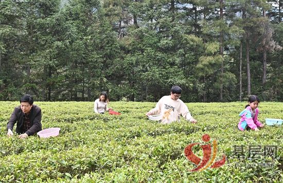 11254639558273209_92.jpg 11254639558273209_92.jpg