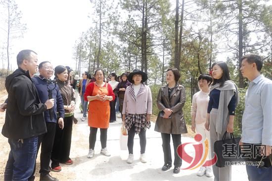 13384108273312341_92.jpg 13384108273312341_92.jpg