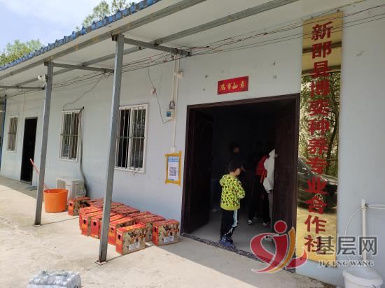 13404586733247828_92.jpg 13404586733247828_92.jpg