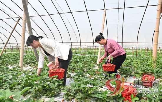 21074551084537780_92.jpg 21074551084537780_92.jpg