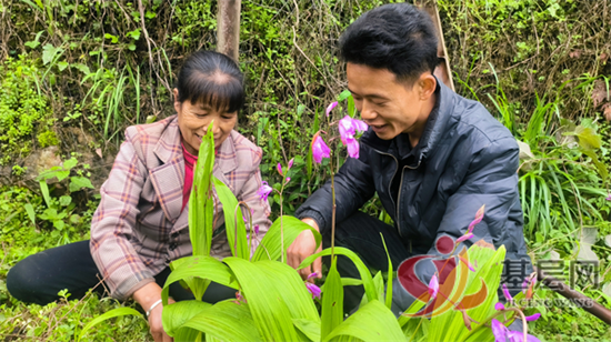 15533177403371517_92.png 15533177403371517_92.png