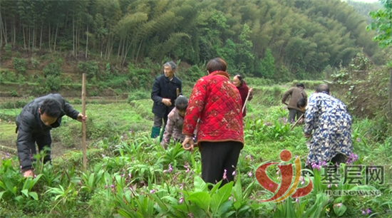 15562735812513917_92.png 15562735812513917_92.png