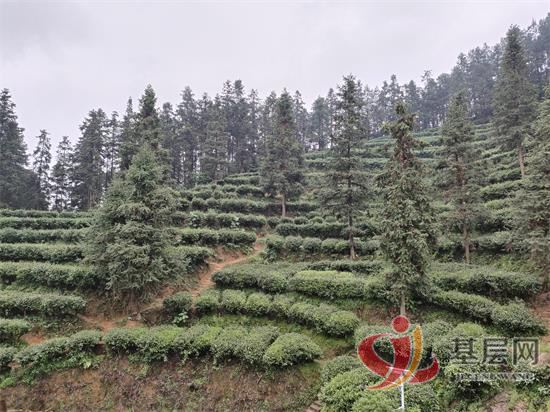 2354029363558230_92.jpg 2354029363558230_92.jpg