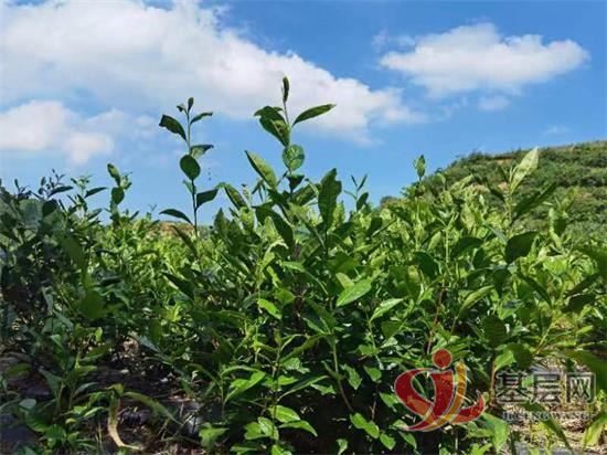 23583914319276019_92.jpg 23583914319276019_92.jpg