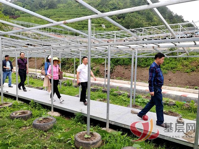 12350201246306765_75.jpg 12350201246306765_75.jpg