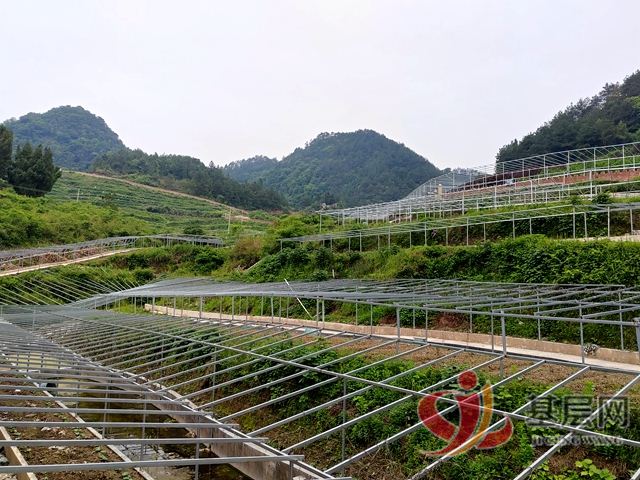 12351625325344265_75.jpg 12351625325344265_75.jpg