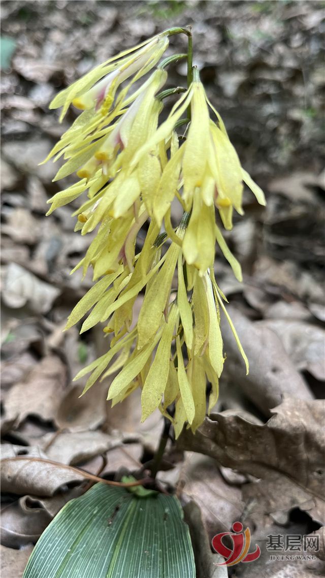 14192592253694501_68.jpg 14192592253694501_68.jpg