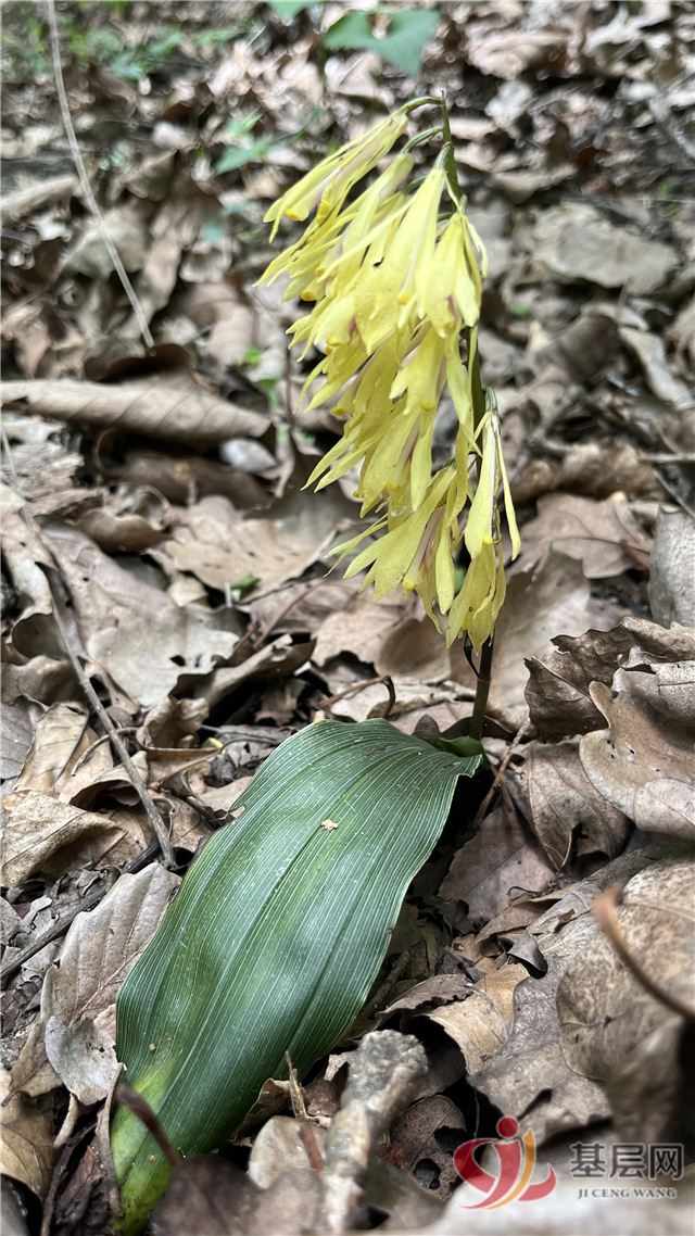 14211319168432019_68.jpg 14211319168432019_68.jpg