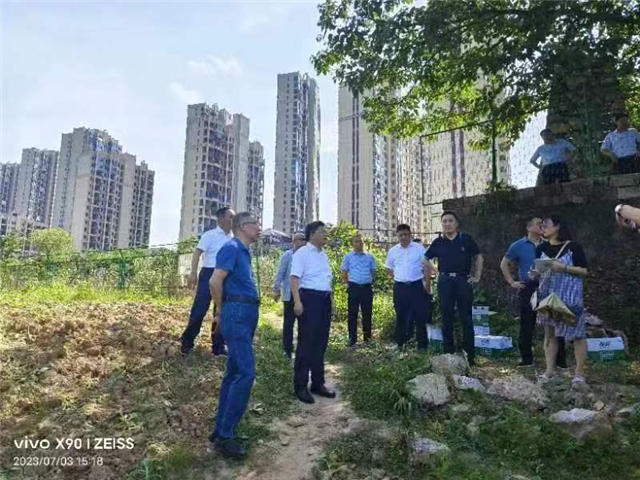 09333740105313757_84.png 09333740105313757_84.png