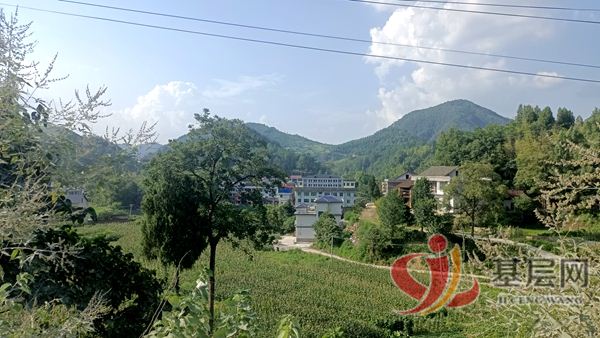 17382249123416904_75.jpg 17382249123416904_75.jpg