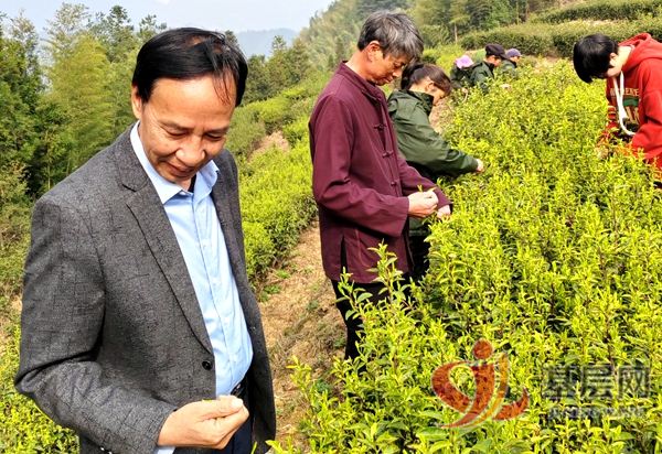 12524610398893184_75.jpg 12524610398893184_75.jpg