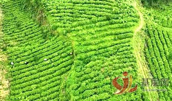 12531273849118149_75.jpg 12531273849118149_75.jpg