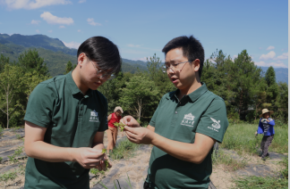 13215453414160313_7.png 13215453414160313_7.png