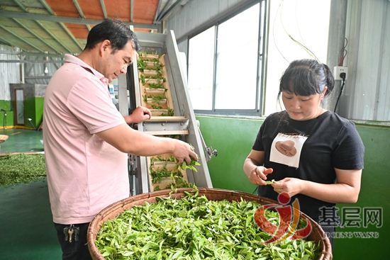 19190231053639345_92.jpg 19190231053639345_92.jpg