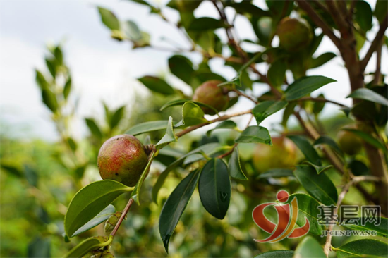 14463887221361020_92.png 14463887221361020_92.png