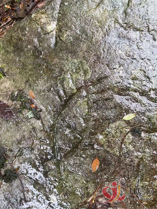 1936393147275168_92.png 1936393147275168_92.png