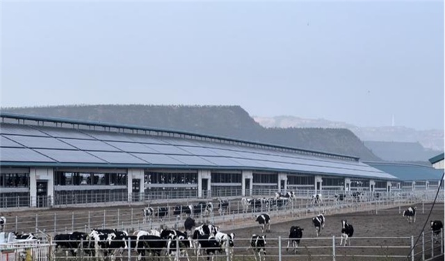 1901402520409910_130.png 1901402520409910_130.png