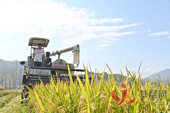 15592817388806853_92.jpg 15592817388806853_92.jpg