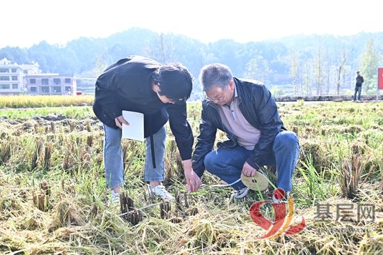 16010382226751300_92.jpg 16010382226751300_92.jpg