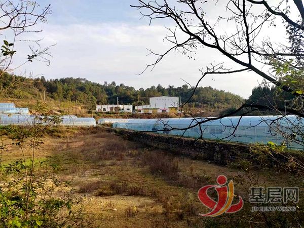 11210835421646534_75.jpg 11210835421646534_75.jpg