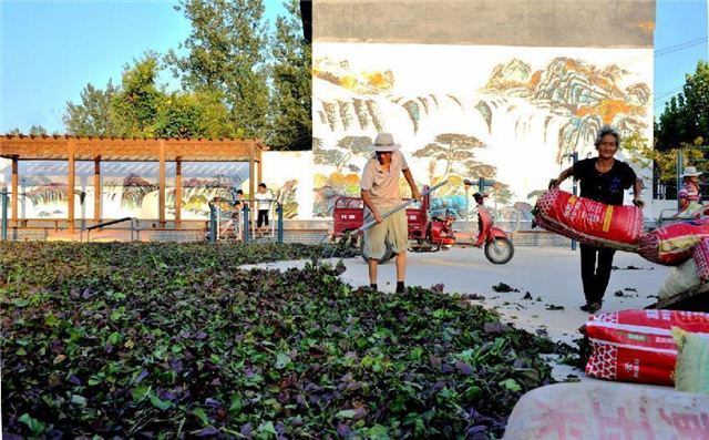 11283918381721313_124.jpg 11283918381721313_124.jpg