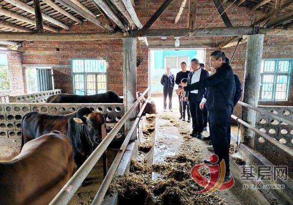 20210979293801783_75.jpg 20210979293801783_75.jpg