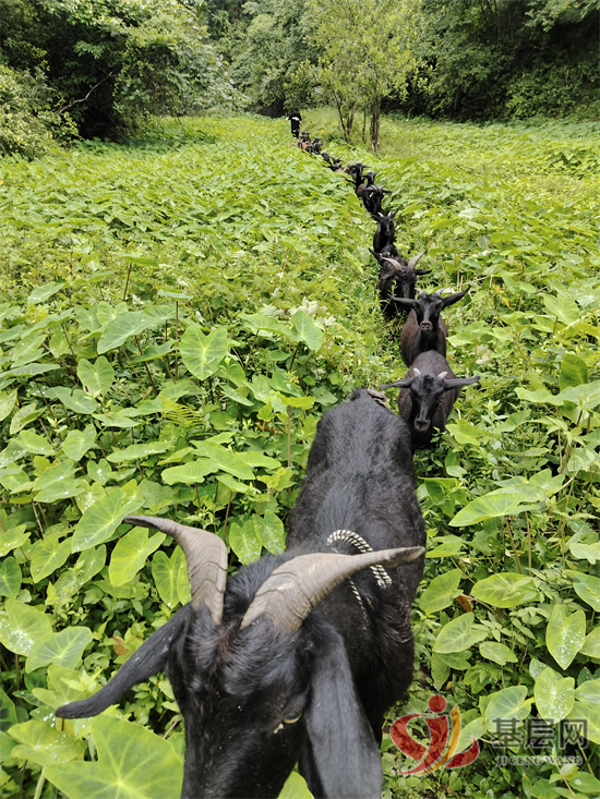 14430624555831291_92.png 14430624555831291_92.png