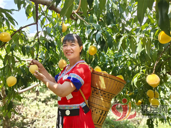 14475152582531175_92.png 14475152582531175_92.png