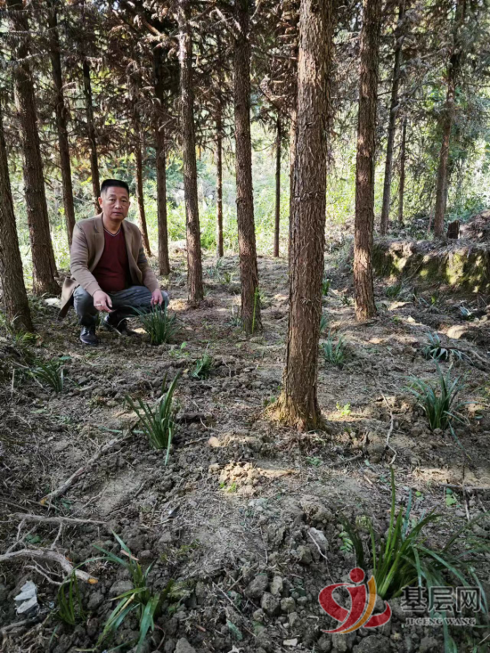 17015972729075741_92.png 17015972729075741_92.png