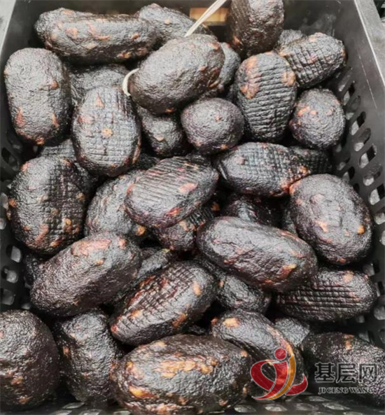 13304155082296517_92.png 13304155082296517_92.png