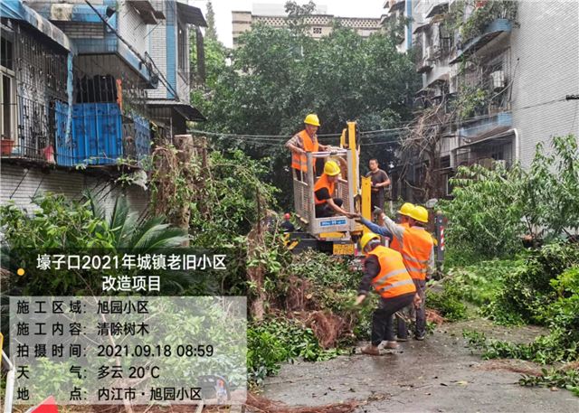 2030078377110062_106.jpg 2030078377110062_106.jpg